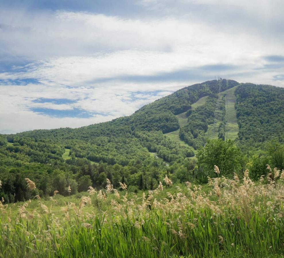 Condo Hotel Au Pied Du Mont Orford エクステリア 写真