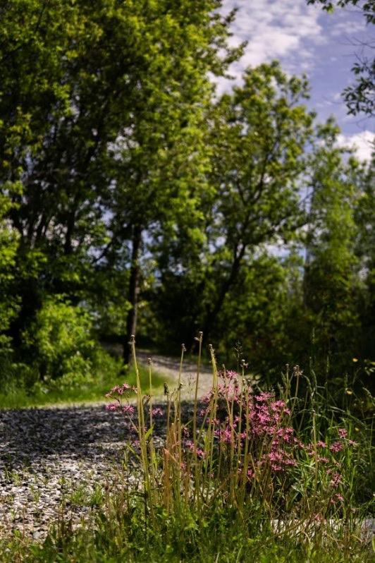 Condo Hotel Au Pied Du Mont Orford 部屋 写真