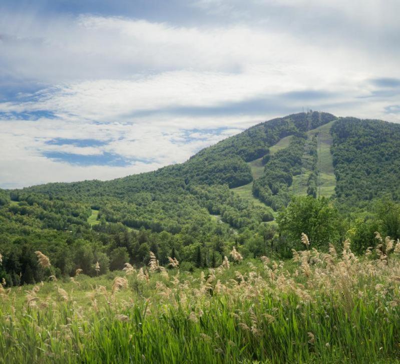 Condo Hotel Au Pied Du Mont Orford 部屋 写真
